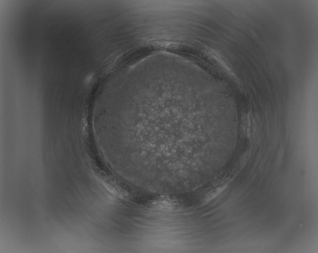 X0000073890259200608251439