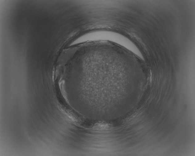 X0000073890260200608251439