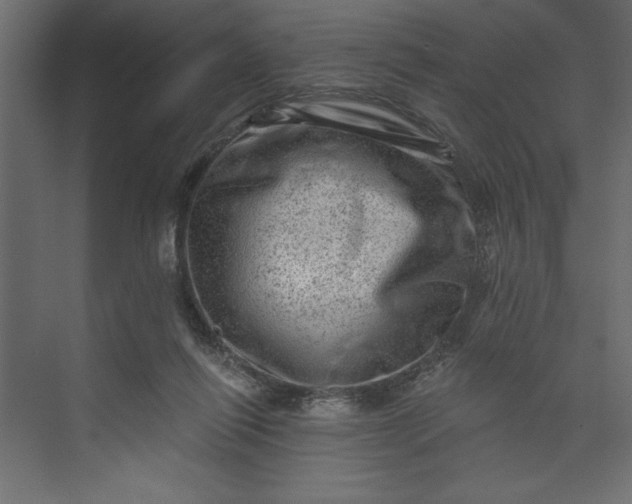 X0000073890262200608251439