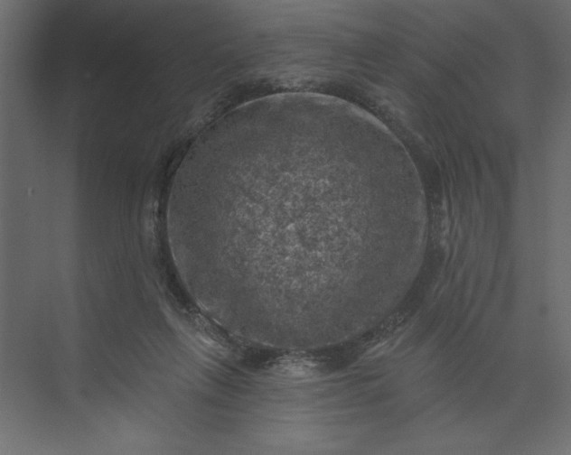 X0000073890263200608251439