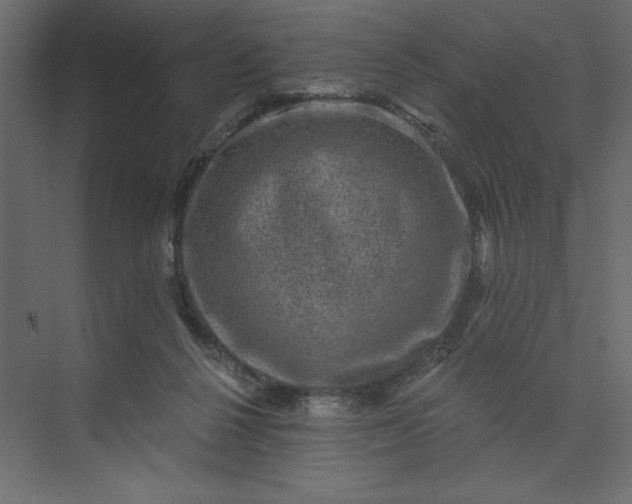 X0000073890264200608251439