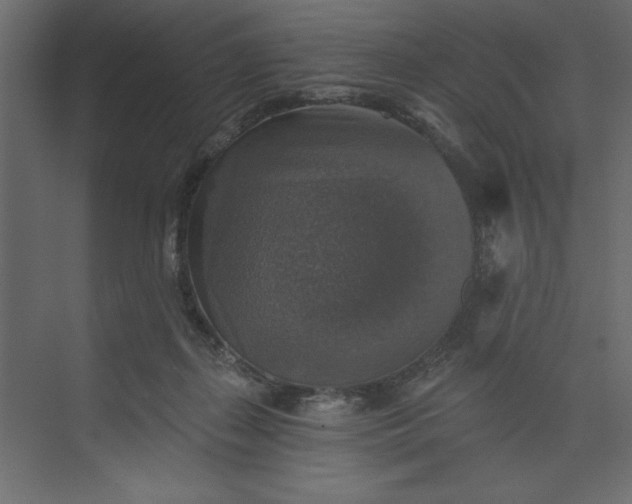 X0000073890267200608251439