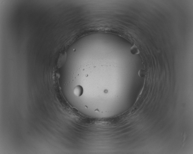 X0000073890268200608251439