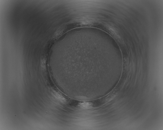 X0000073890269200608251439