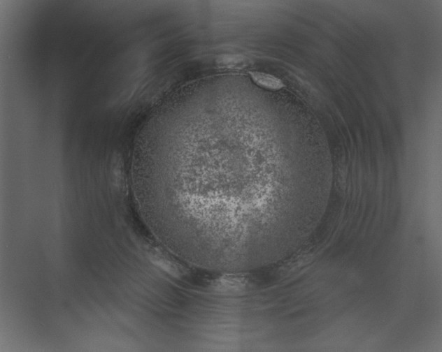 X0000073890270200608251439