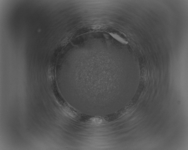 X0000073890272200608251439