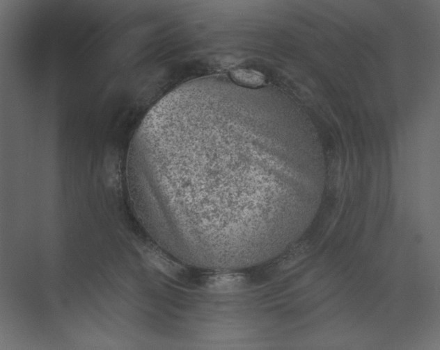 X0000073890274200608251439