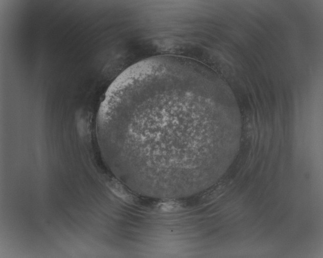 X0000073890275200608251439