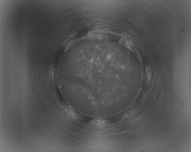 X0000073890276200608251439