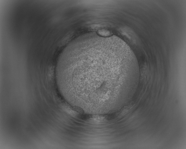 X0000073890278200608251439