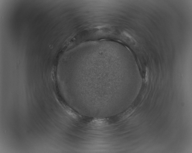 X0000073890280200608251439