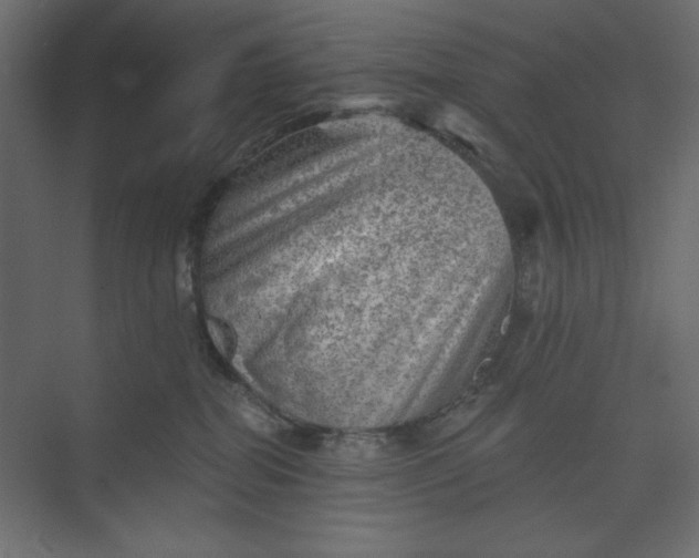 X0000073890282200608251439