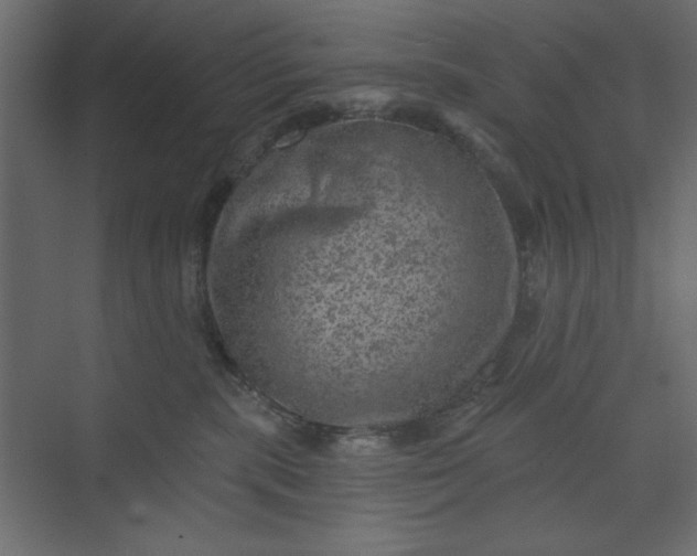 X0000073890283200608251439