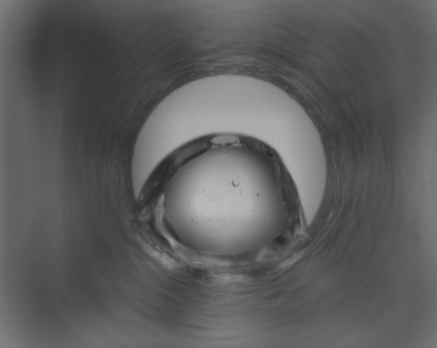 X0000073890284200608251439