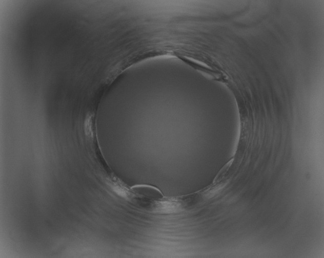 X0000073890286200608251439