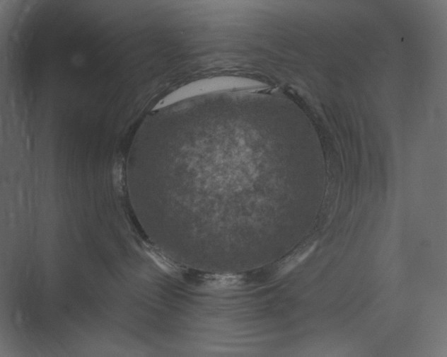 X0000073890288200608251439