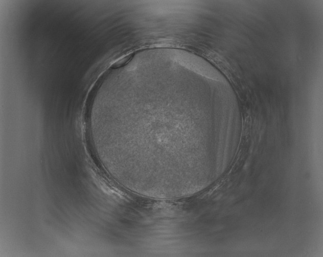 X0000073890290200608251438