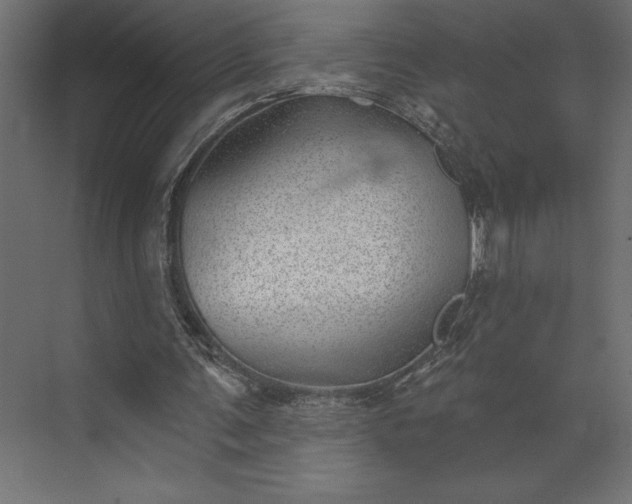 X0000073890291200608251438