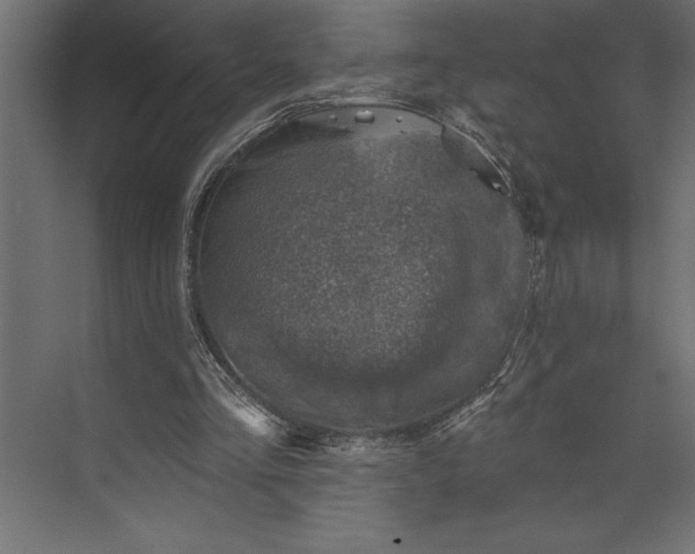 X0000073890293200608251438