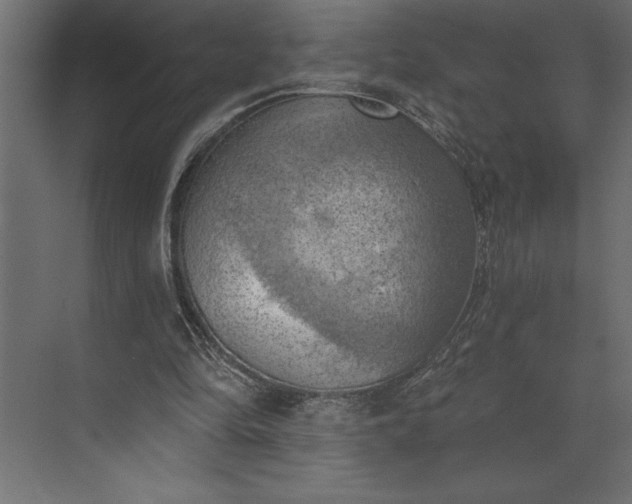 X0000073890294200608251438