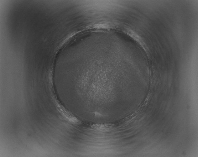 X0000073890297200608251438