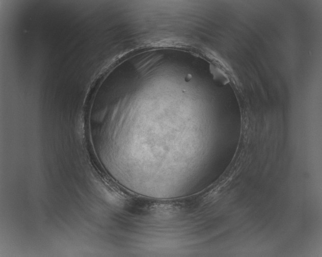 X0000073890298200608251438