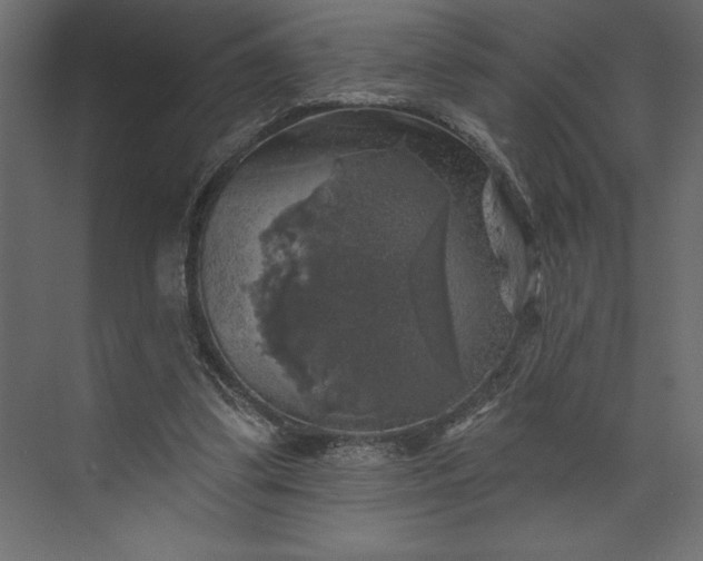 X0000073890299200608251438