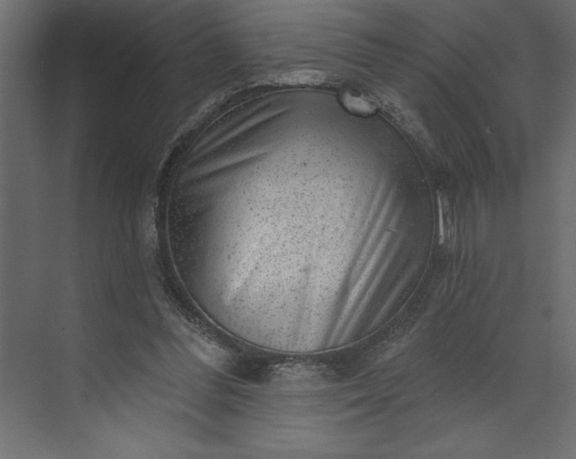 X0000073890300200608251438