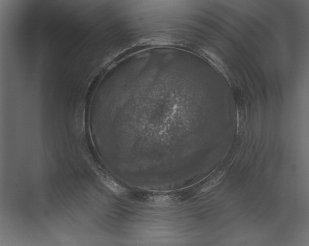 X0000073890301200608251438