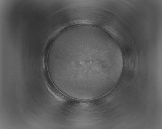 X0000073890302200608251438