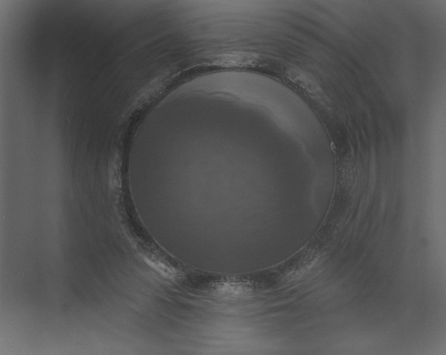 X0000073890303200608251438