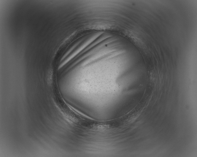 X0000073890304200608251438