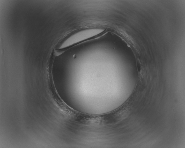 X0000073890306200608251438