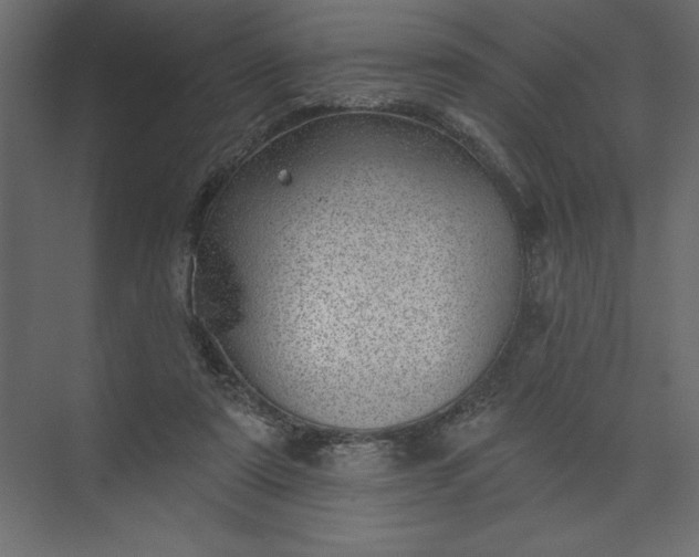 X0000073890307200608251438