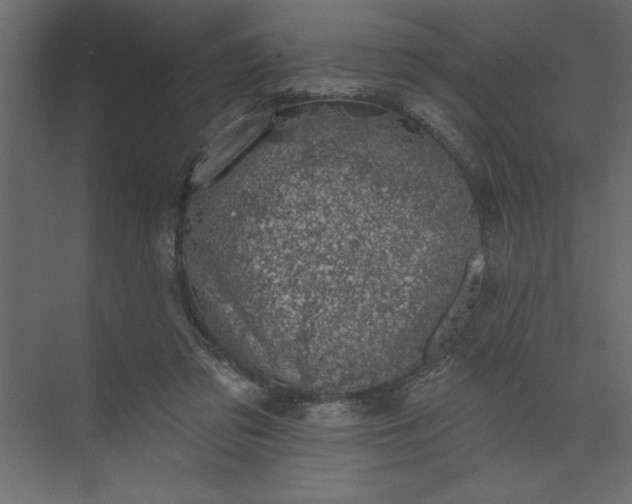 X0000073890309200608251438