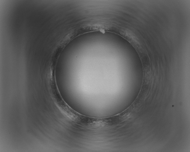 X0000073890310200608251438