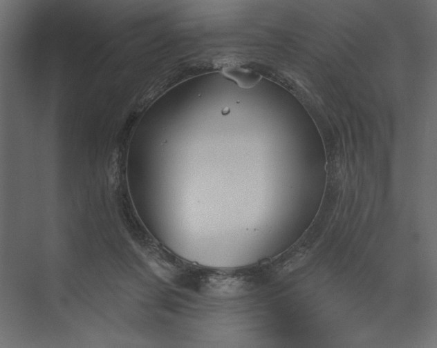 X0000073890311200608251438