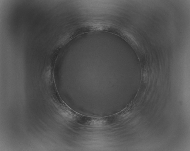 X0000073890314200608251438