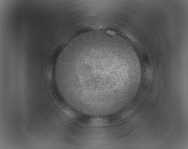 X0000073890315200608251438