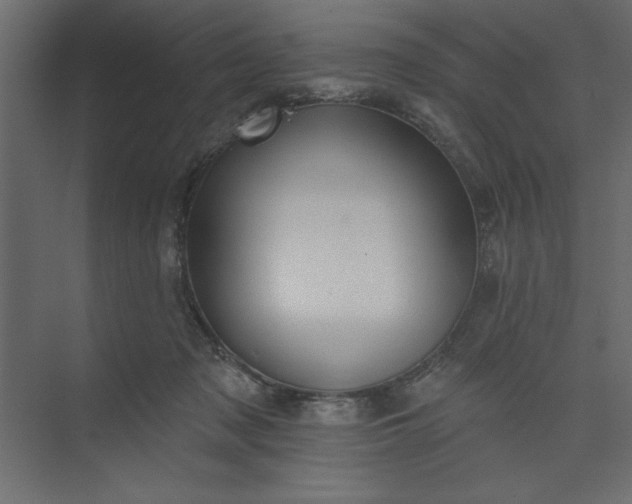 X0000073890317200608251438