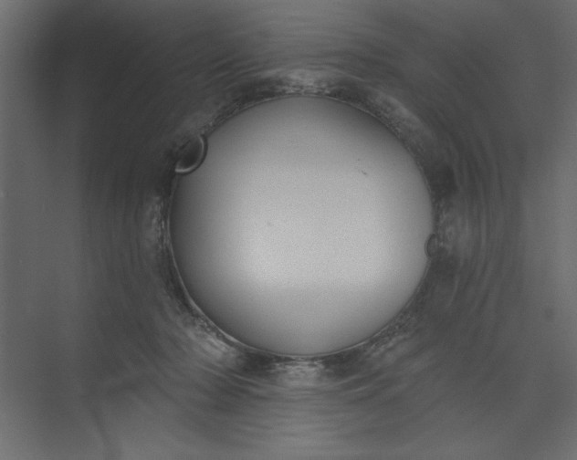 X0000073890318200608251438