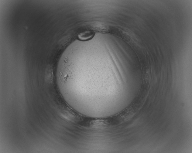 X0000073890320200608251438