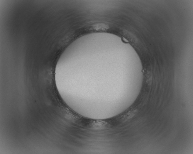 X0000073890321200608251438