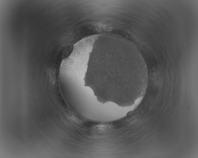 X0000073890323200608251438