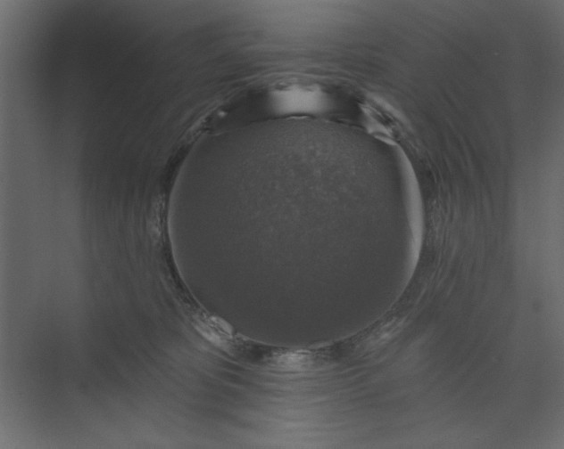 X0000073890325200608251438