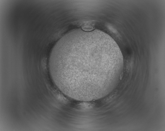 X0000073890326200608251438