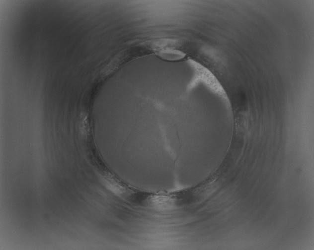 X0000073890327200608251438