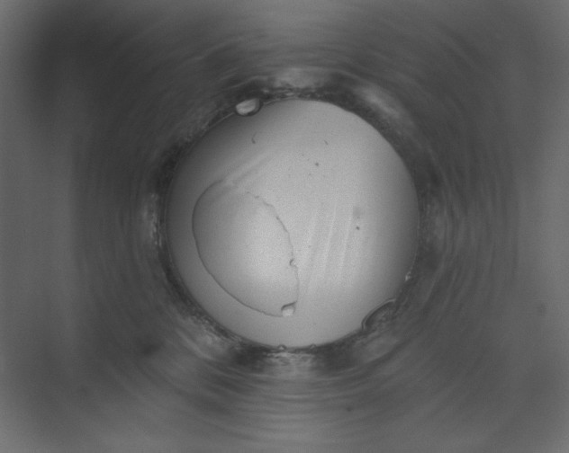 X0000073890328200608251438