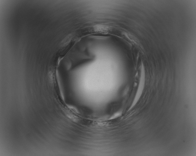 X0000073890329200608251438