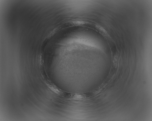 X0000073890330200608251438